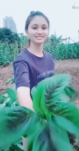 甜蜜未来乐在心怀主播照片