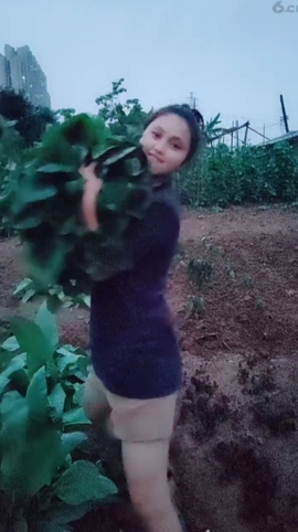 甜蜜未来乐在心怀主播照片