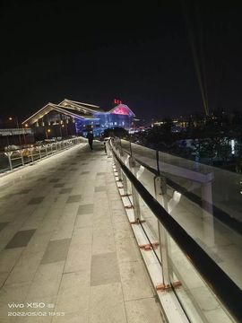 藏獒王∶成龙沸沸主播照片