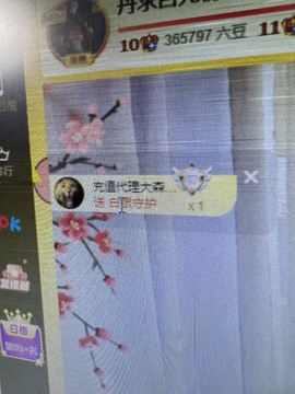 丹从心开始求老板主播照片