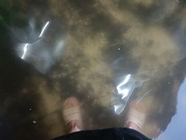 雨果汁🦊主播照片