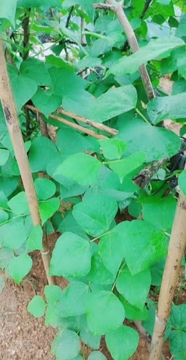 甜蜜未来乐在心怀主播照片
