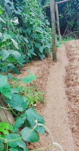 甜蜜未来乐在心怀主播照片