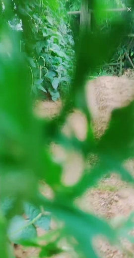 甜蜜未来乐在心怀主播照片