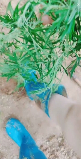 甜蜜未来乐在心怀主播照片