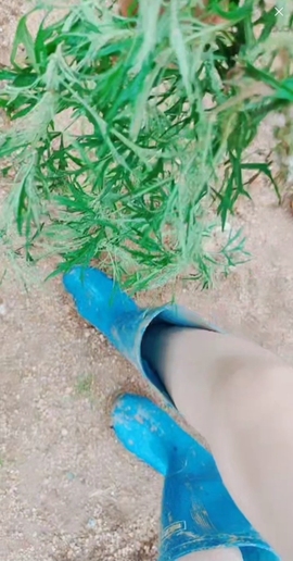 甜蜜未来乐在心怀主播照片