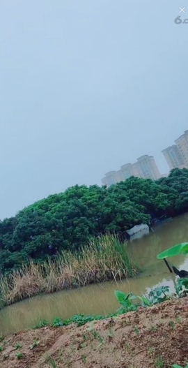甜蜜未来乐在心怀主播照片
