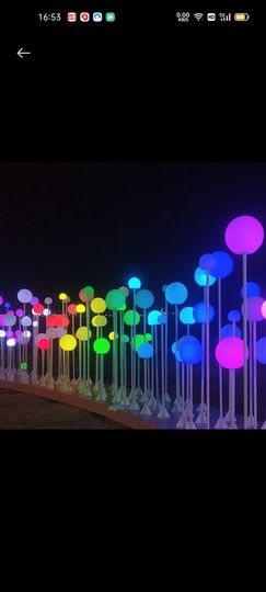 310823l的图片