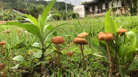 娜塔莎退主播照片