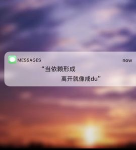 安然💛初相蒔主播照片