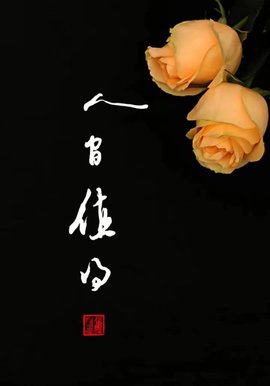 დ释怀დ主播照片