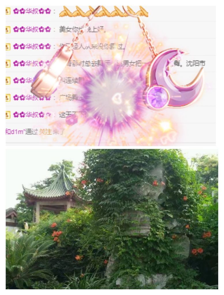 婷婷💕感恩有你陪伴的图片