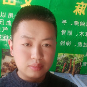 阿杰出售小草坝天麻的头像