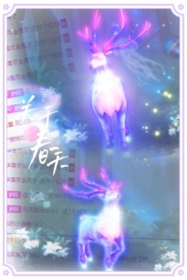 凤家有事不定时手机播主播照片
