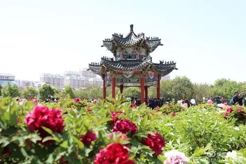 吻💞之💞殇的主播照片
