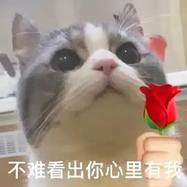 晨北北主播照片