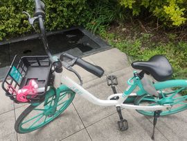 九九暂退来不及告别主播照片