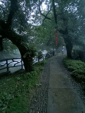 野百合饿晕了🌱🌱主播照片