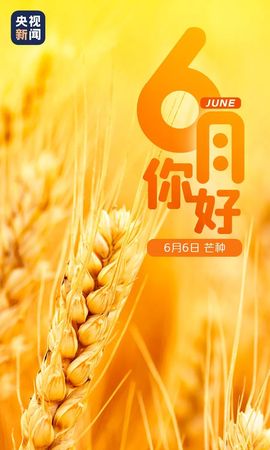 超持久“桑拿天”来了主播照片