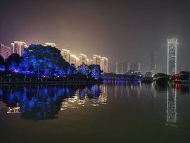 藏獒王∶成龙沸沸主播照片