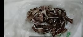 🍏🍌🍌主播照片