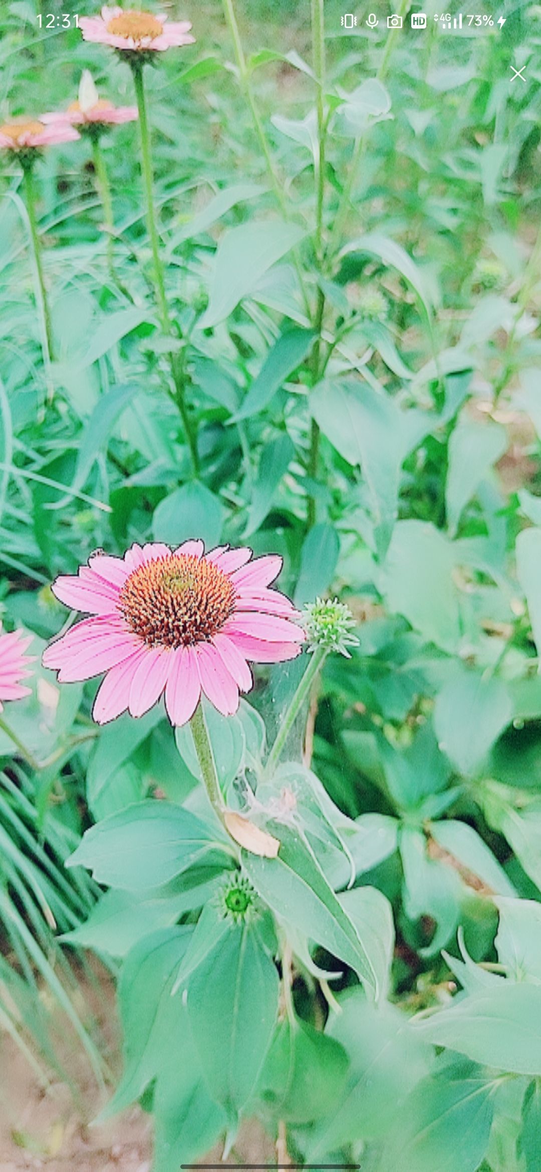 婷婷💕感恩有你陪伴的图片