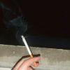 589lmstuz*