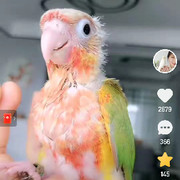 上你家吃点儿饭儿行吗头像