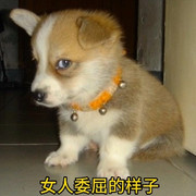 你看是你不海报