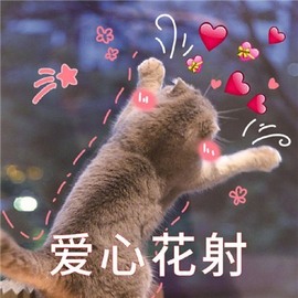 🦄嘿嘿主播照片
