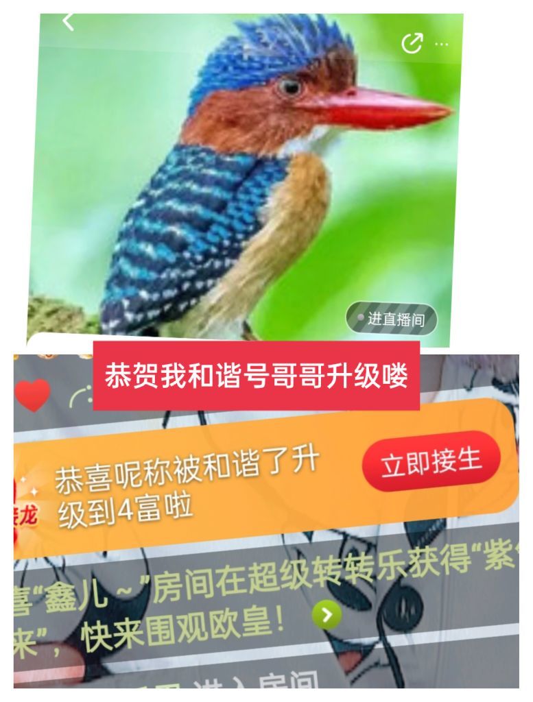 婷婷💕感恩有你陪伴的图片