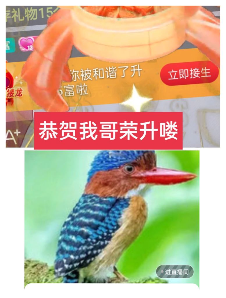 婷婷💕感恩有你陪伴的图片