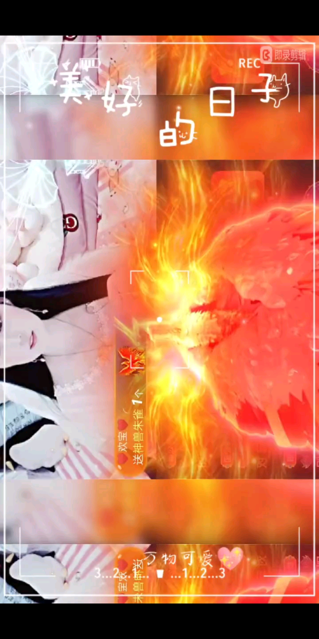感谢我欢宝宝的天天为