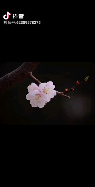 @静心禅语：逢人不必