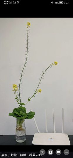 时雨凡的图片