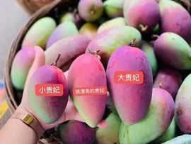 小知秋✨的图片