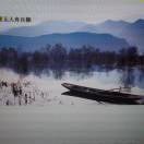 17efjmpruv的头像