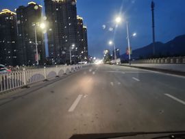 藏獒王∶成龙沸沸主播照片