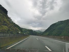 藏獒王∶成龙沸沸主播照片