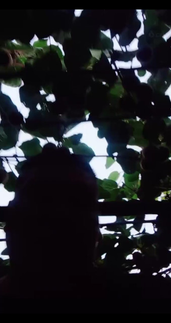 我成了落汤了