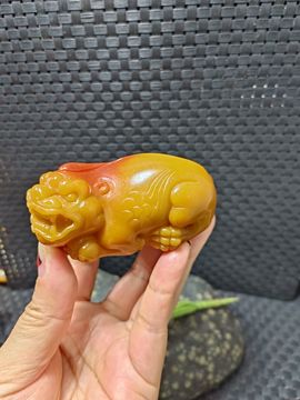 AA玉玉如意主播照片
