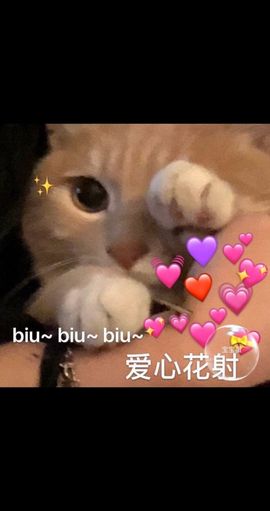 澄澄蚌埠住了主播照片