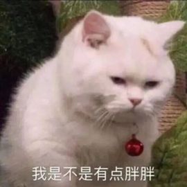 阳阳💕休主播照片