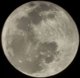 空灵兔主播照片