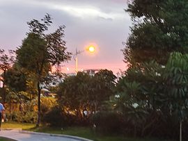 秋意凉🍑主播照片