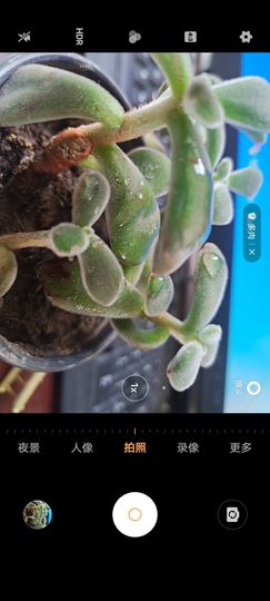 曾曾❤主播照片