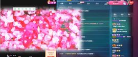 太阳女神💕💕主播照片
