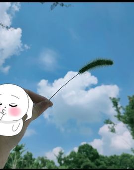 婷婷💕求升级的图片