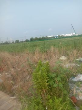 動之以情（小浪浪）的图片