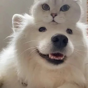 hwidbsuw